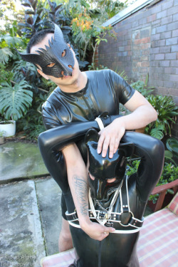 Human Pup Play Fans Master Kel And @Secapup Photographed On A Recent Sydney Trip.i’m