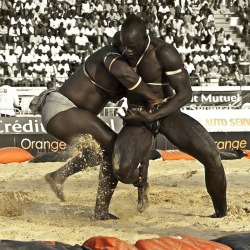 Senegalese Wrestling by Beatrix Meszoly de