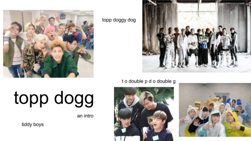 gayhani: topp dogg intro post: without the ex members to make it easier!