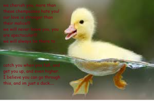 support duck and ducklings version..my ask is always open for those who need it