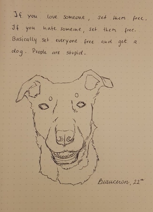 22nd October 2019: Dogtober 22, my new favorite dog breed, the Beauceron.