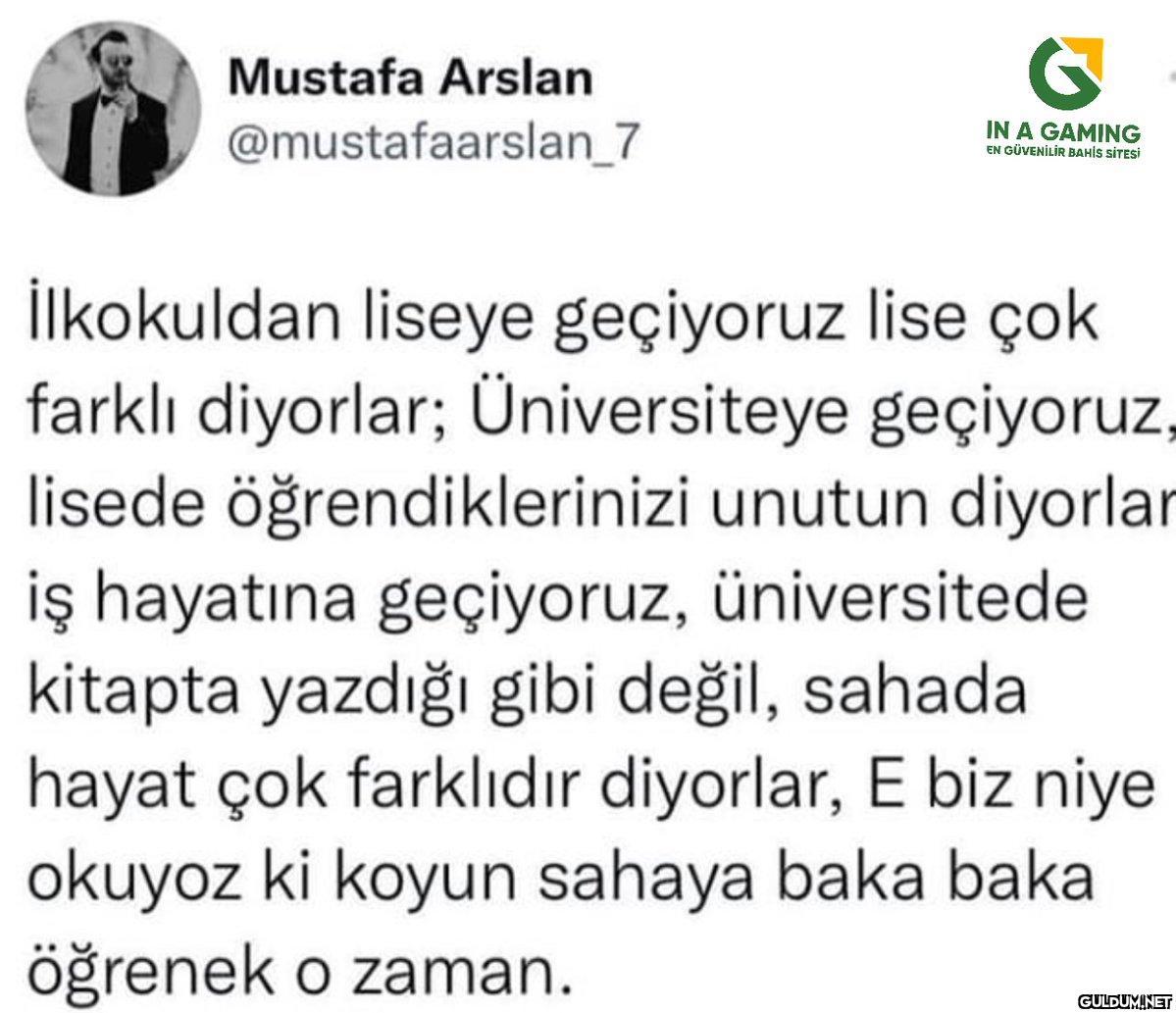 Mustafa Arslan...