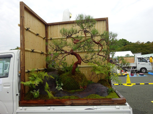 itscolossal:The Japanese Mini Truck Garden Contest is a Whole New Genre in Landscaping