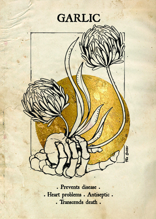 offateandfortune: Dandelion, AKA Devil’s Milk-Pail or Priest’s Crown: The juice
