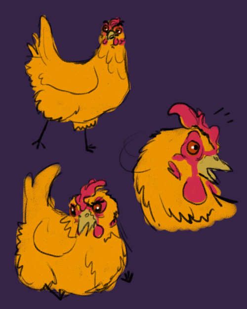 i forgot to post these goofy chicken doodles i did like a month ago