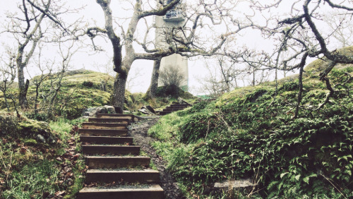 englishsnow:   Tyler Forest-Hauser 