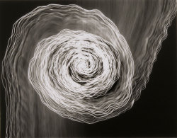 myampgoesto11:  photograms by Maureen McQuillan