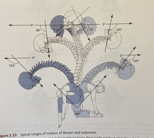 blueisagreatcolorforawitch:A hydra