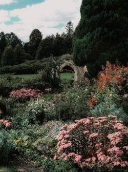 enchantedengland:    Polesden Lacey gardener’s cottage and garden. (@wander_linaa IG)