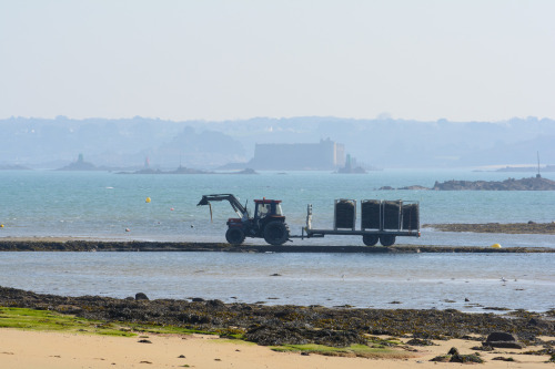            en tracteur pour transporter les poches à huît