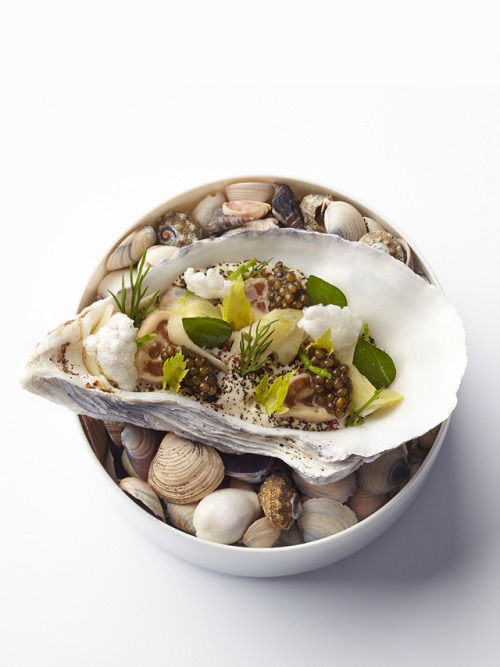 Fonte Galleries – The Art of Plating Aqua_Oyster2Posted tinamotta.tumblr.com