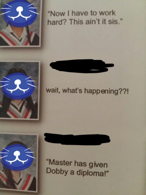 I Finally Got My Yearbook For The 2018-2019 Year So Here Are Some Of The Top Senior Quotes From That