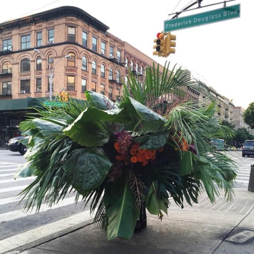 itscolossal:  Guerilla Flower Installations on the Streets of NYC by Lewis Miller Design