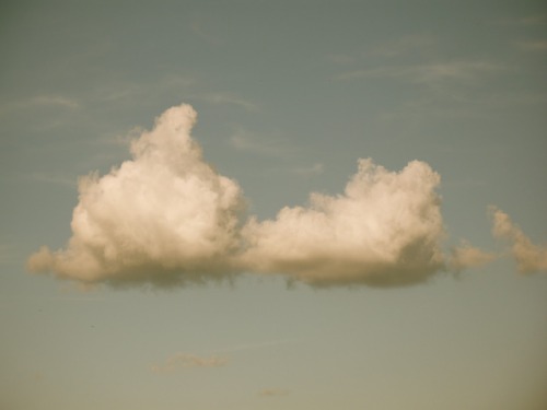 raveneuse:  Masao Yamamoto, Goal. 