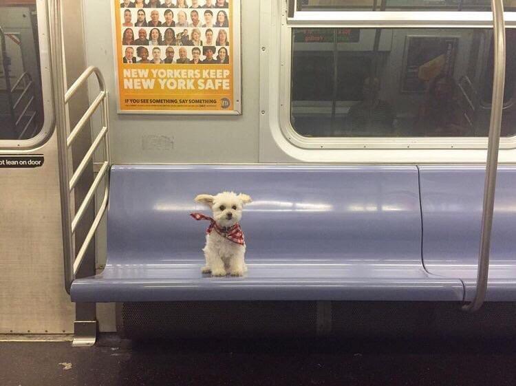 blessedimagesblog:  Blessed_passenger