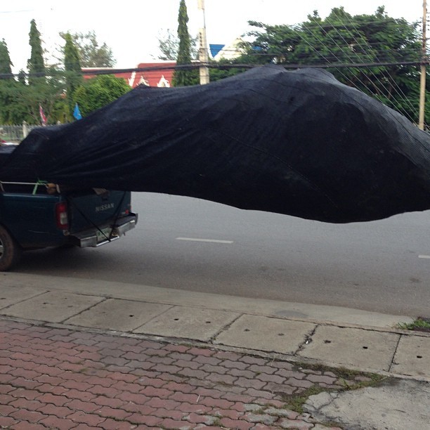 Only in Thailand does someone decide they like a tree enough to wrap it up and take it away on their ute. Love this place! #thailand #samutsongkhram #maeklong #tree #ute #asia #southeastasia #thaiingenuity #amazingthailand