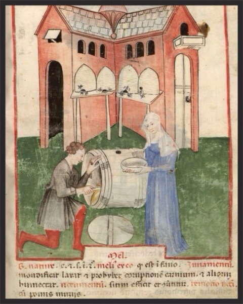 medieval-women:A popular health manual from the 15th century, the Tacuinum Sanitatis, shows many exa