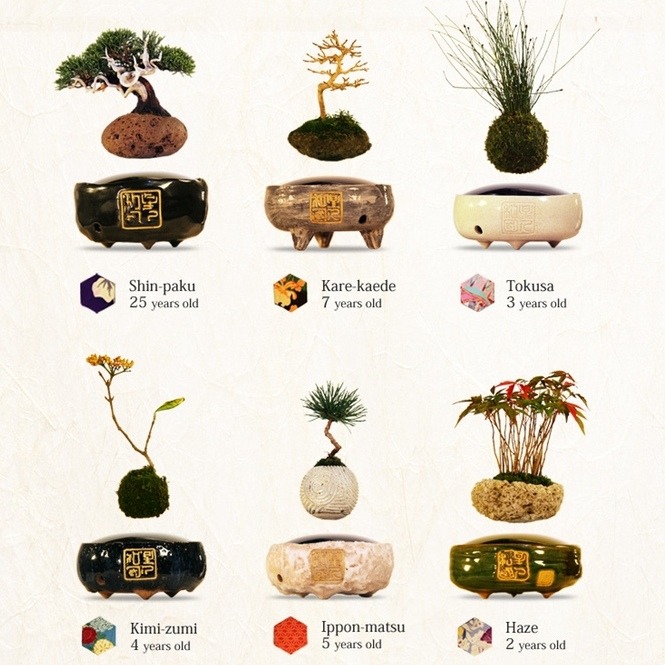 shatterstag:  archiemcphee:  If you love The Little Prince then you might need one