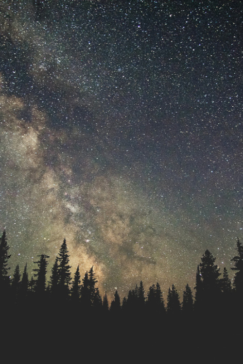 bestof-society6:    ART PRINTS BY LUKE GRAM  Milky Way IV  Milky Way  Milky Way XXXII  Stars over Mount Aspiring II  Milky Way XX  Stars over Lake Minnewanka Also available as canvas prints, T-shirts, All over print shirts, Phone cases, Throw pillows,
