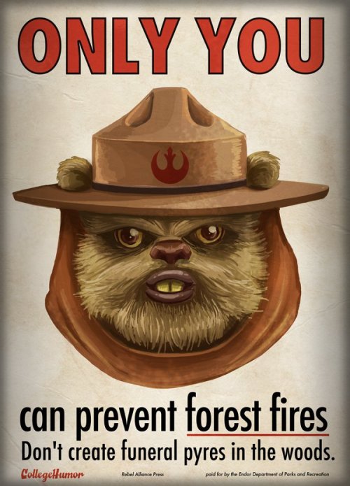 ewok