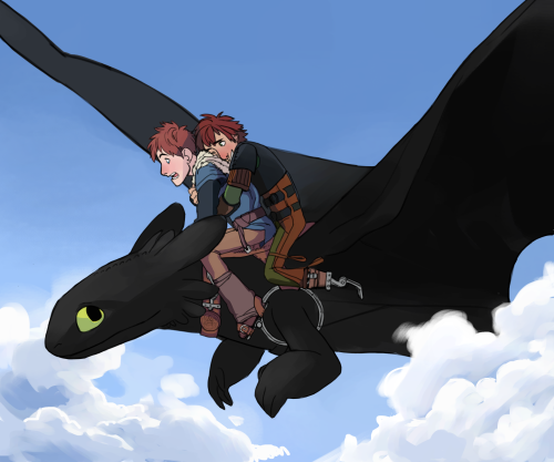 coldfeetwarmflames:“Uh, Hiccup? I’m not panicking, but how do you steer again?”req