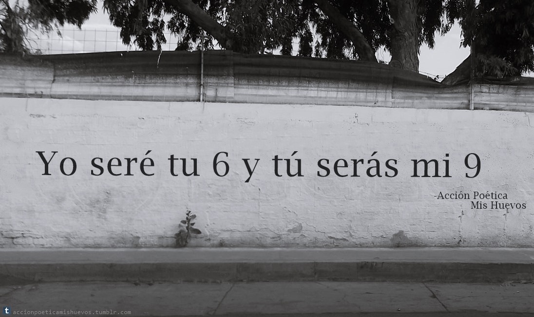 Accion Poetica Mis Huevos