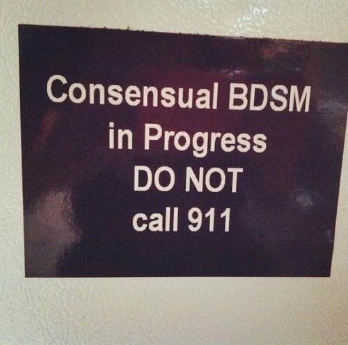 ownedbymykeeper:  Do we need one of these?