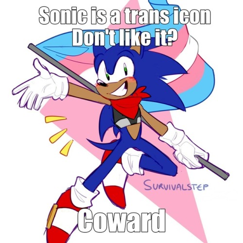 survivalstep:Aggressive Sonic text meme!— FDHFJJFKD THIS RULES THANK YOU