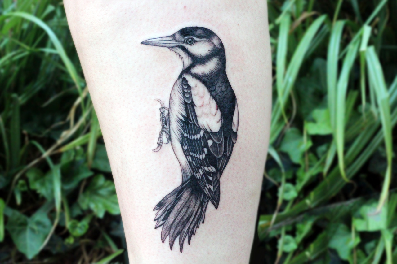 Tattoo uploaded by Caity  tomrobbins Still Life With Woodpecker tattoo  megandreamtattoo  Tattoodo