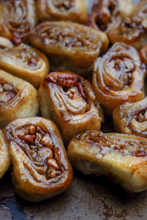 fullcravings:Brown Sugar Pecan Sticky Buns