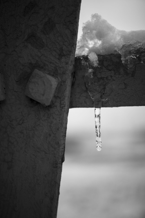 Icicles on Metal 3Canon EOS M5 + EF-M 32mm f/1.4 STMRedbubble | Instagram | Portfolio | Support me o