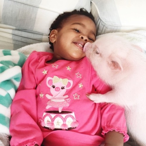 glam-librarian:realemobabe:This is LexiThis is too cute for words.