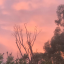 dasparkmaneyt
