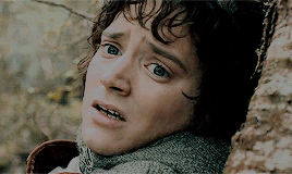 lotrdaily:   It’s a dangerous business, Frodo, going out your door. You step onto