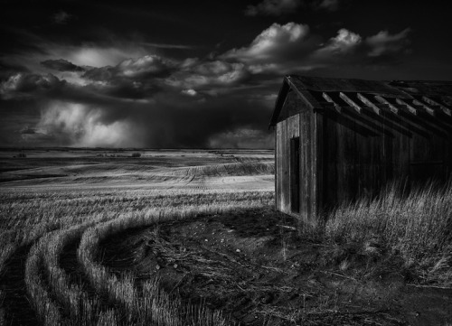 Rob McKay, Storm Front, Alberta, Canada, n.d.
