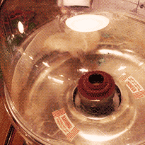staff:  Tumblr HQ Update: Week 345 Cotton candy, working jukebox at Tumblr IRL Presents,