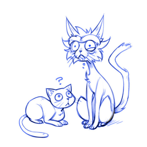Cat doodles inspired by ever amazing @lonelylonelyspace this week. 