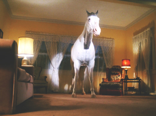 beep-beep-ritchie: Twin Peaks S2 Ep7 - The Palmer Residence