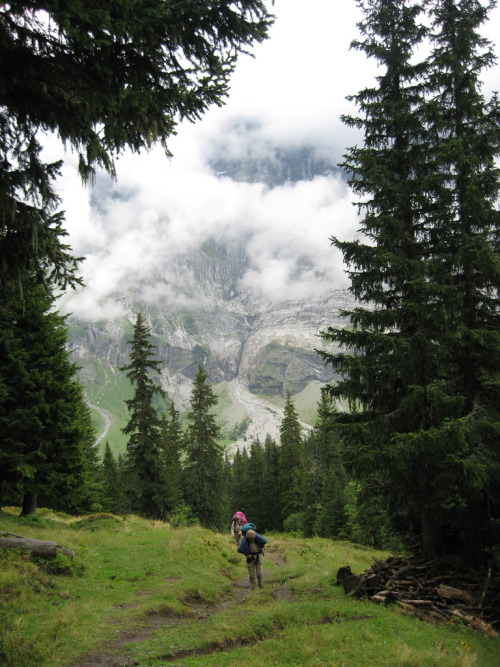 timidsouls:  Hiking Alps (by gingama) 