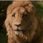 a-silmaril-for-shasta
