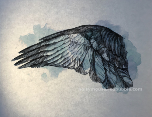 Raven wing