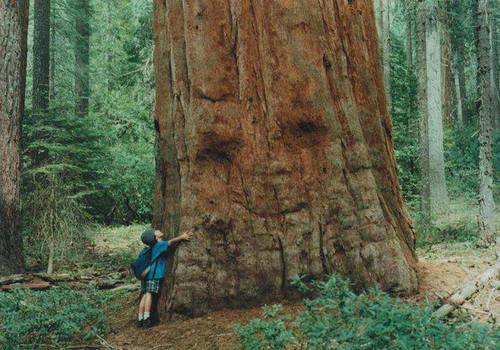 Fotos de la biografía | via Facebook en We Heart It. http://weheartit.com/entry/64292553/via/sweetnothing6