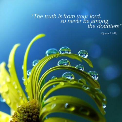 Quran 2:147““The truth is from your Lord, so never be among the doubters.” (Quran 2:147)”
www.IslamicArtDB.com » Quranic Verses » Quranic Verses in English
Originally found on: lionofallah