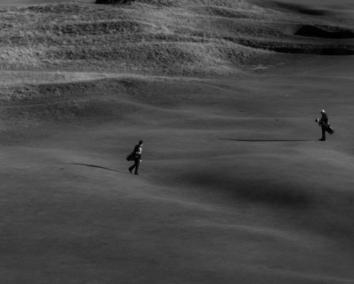 idavidbeattie: Fucking Golf, St Andrews, Scotland. Photograph by David Beattie 