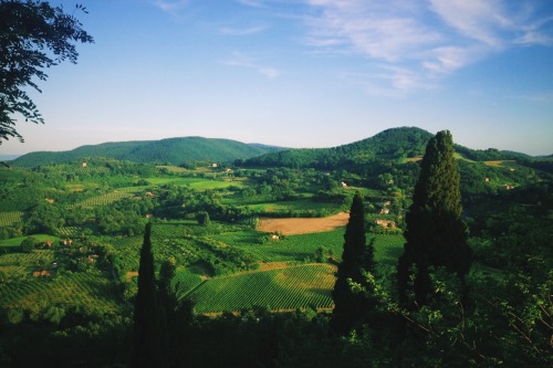 Firenze - Siena - Montepulciano. Through Valle d'Orchia and Chianti Valley.