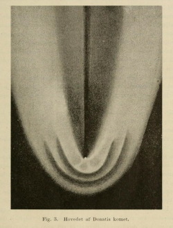 nemfrog:  Fig. 3. The head of Donati’s