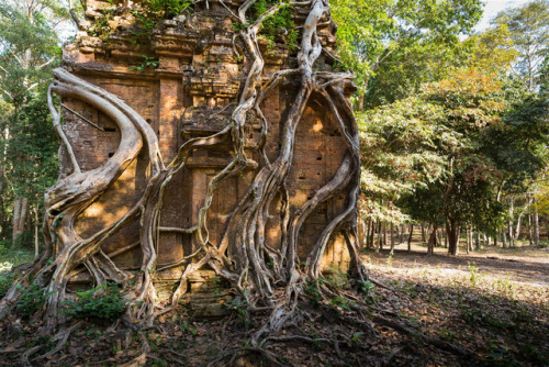 Sambor Prei Kuk temple, Angkor, Cambodia, photos by Kevin Standage, more at kevinstanda
