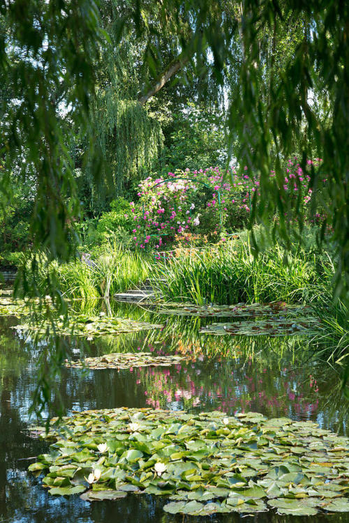 florealegiardini: Le Jardins de Monet,Giverny, Normandy, France Eric Sander