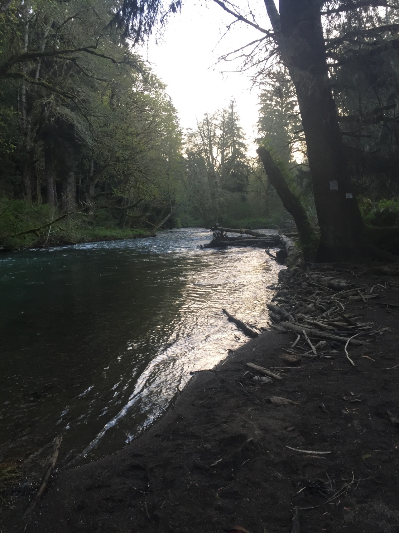 Little bit from camping , hopefully the beginning to a lot of camping this season