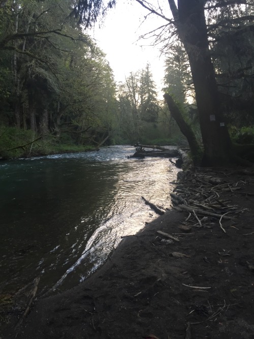 Little bit from camping , hopefully the beginning to a lot of camping this season